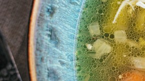 sopita vegana engripado