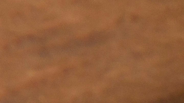 Cómo evitar un embarazando tomando 5 tipos de té