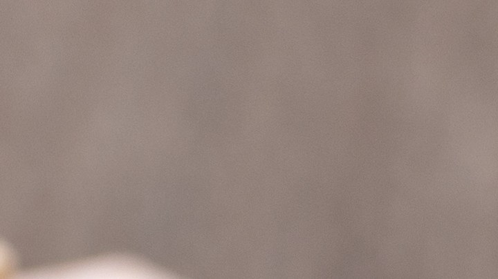 Cómo descubrir quién te hace brujerías con un ritual con dientes de ajo