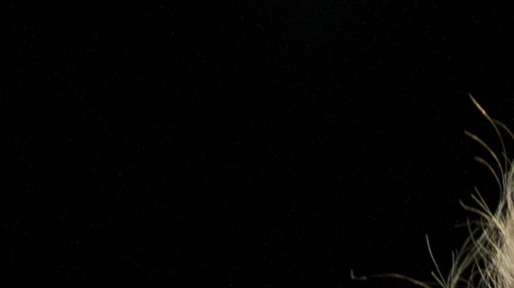 La canción de Shakira a Piqué y otros temas para tu ex