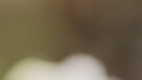 Cuáles son las claves para que tu matrimonio jamás caiga en divorcio