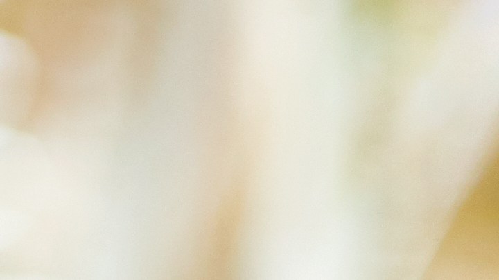 Claves para elegir un buen aceite de oliva