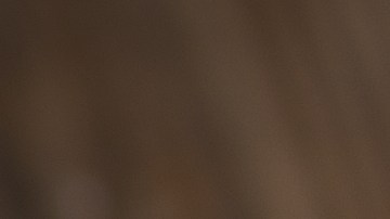 Trucos para limpiar tus sartenes con cebolla