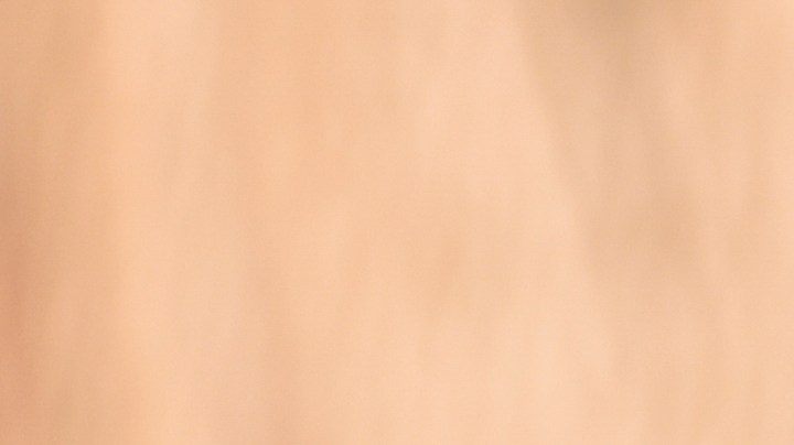 Cómo preparar la semilla del aguacate para adelgazar