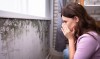 Cómo el moho de tu casa puede enfermarte sin darte cuenta