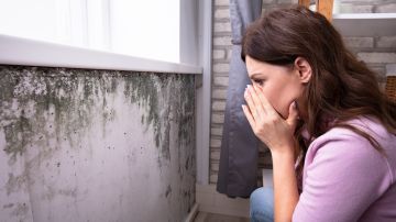Cómo el moho de tu casa puede enfermarte sin darte cuenta