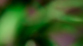 meditación puede mejorar la microbiota intestinal