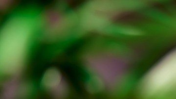 meditación puede mejorar la microbiota intestinal