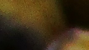 Cómo eliminar las moscas de la fruta y qué las atrae