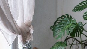 abrillantador casero de plantas