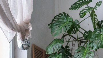 abrillantador casero de plantas