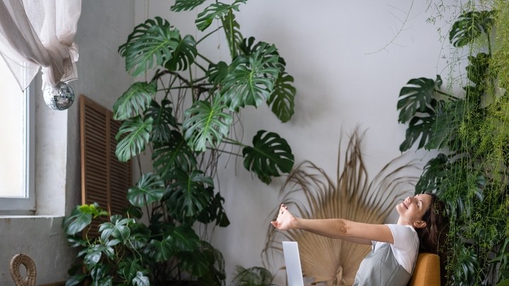 abrillantador casero de plantas