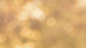 preguntas para profundizar la conexión con tu pareja