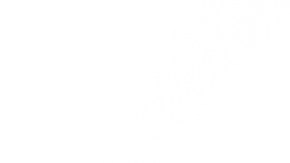 Alimentos que pueden limpiar y desinfectar tu hogar