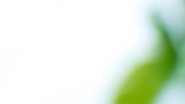 Alimentos que pueden limpiar y desinfectar tu hogar