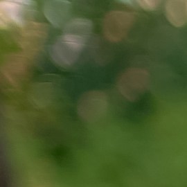 Apps de citas que puedes usar si tienes más de 60 años