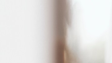 Consejos sobre qué hacer con tu mascota si vas a viajar