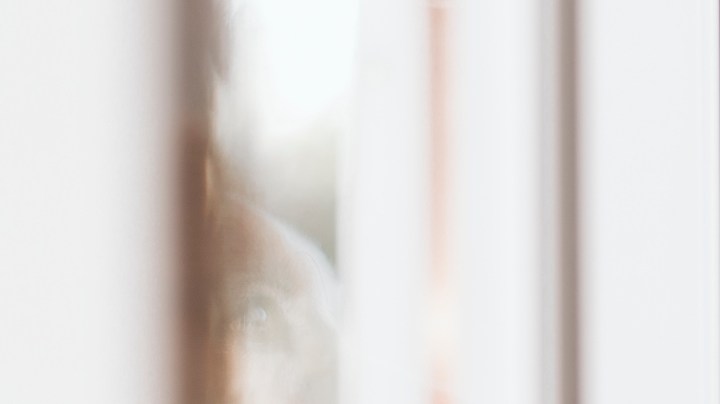 Consejos sobre qué hacer con tu mascota si vas a viajar