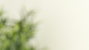 errores al ponerte perfume