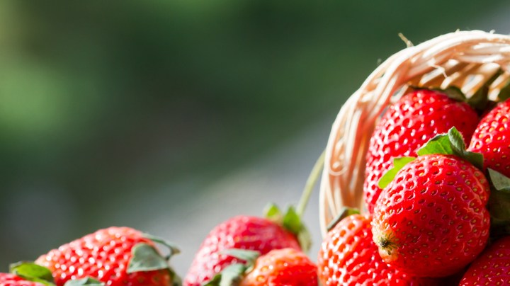 almacenar las fresas