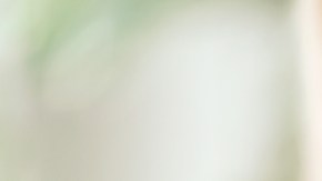 huevos coágulos de sangre