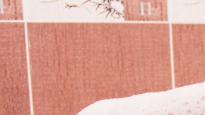 Cómo lavar el cabello seco