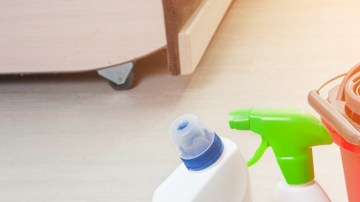 eliminar el olor a perro o a gato