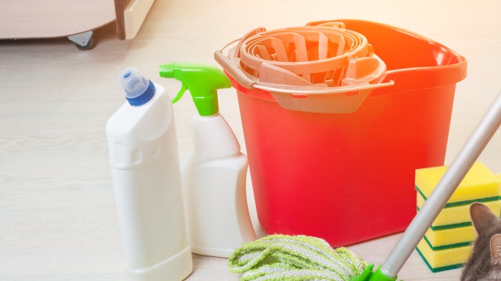 eliminar el olor a perro o a gato