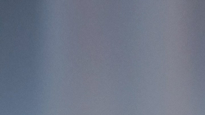 Las mascotas pueden interrumpirte un acto sexual