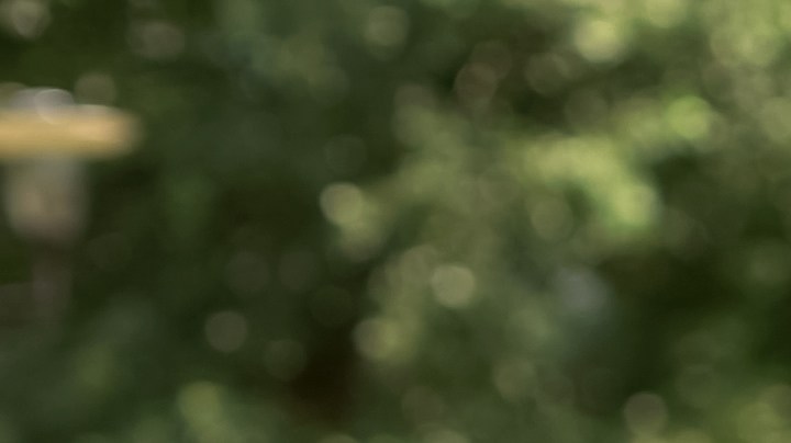 Depresión, ansiedad y bullying preocupa a los padres y madres de Estados Unidos