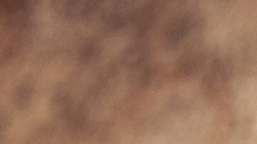 Cuán saludable y efectivo es consumir polvos verdes