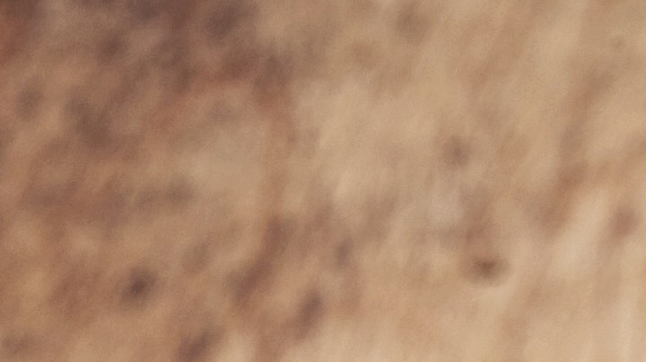 Cuán saludable y efectivo es consumir polvos verdes