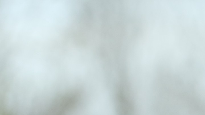 Las 5 primeras cosas que notará tu "crush" en una primera cita