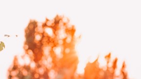 Reavivar la pasión con tu pareja