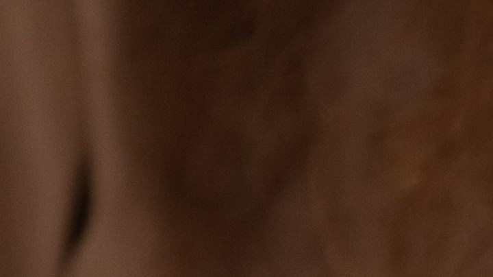 Aunque vas a movilizar energías a tu favor, recuerda que igualmente debes estudiar para el examen si lo deseas aprobar satisfactoriamente.