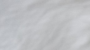 El significado de soñar con la familia de tu ex