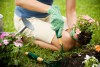 abono orgánico casero para las plantas