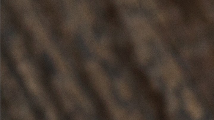 Cómo usar la albahaca para atraer el dinero y la buena suerte