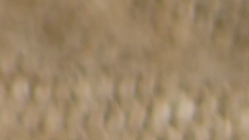 Cuál es el peligro de comer un alimento que tenga moho