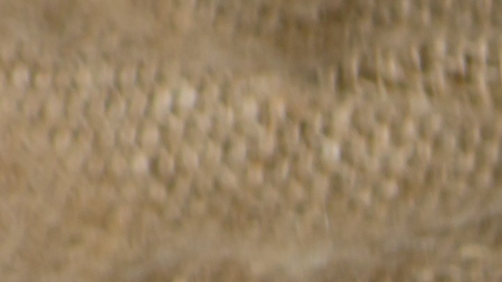 Cuál es el peligro de comer un alimento que tenga moho