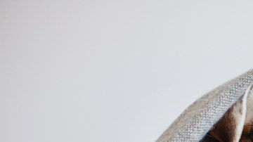 El estrés y la ansiedad son las principales causas del insomnio en mascotas.