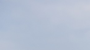 Dieta mediterránea riesgo de enfermedad