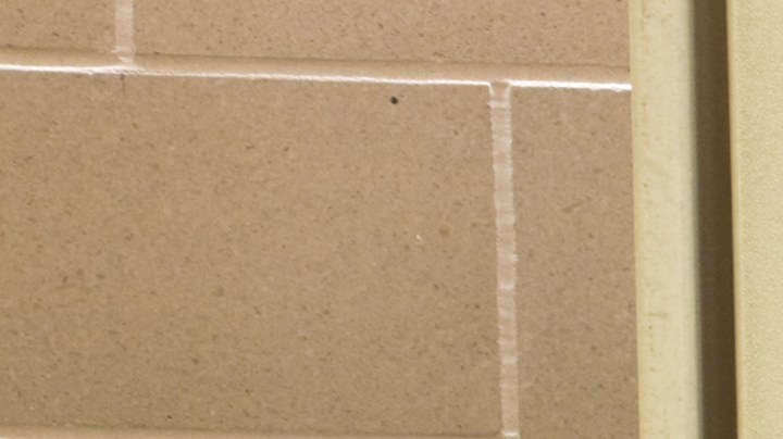 Qué infecciones puedes contraer en un baño público