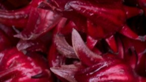 flor de jamaica bajar de peso