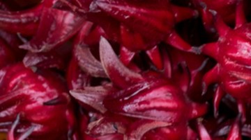 flor de jamaica bajar de peso