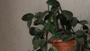 Hábitos diarios para que tu casa siempre luzca limpia y ordenada