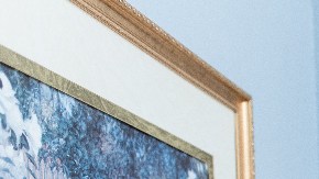 Infección mortal por hongos