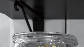 El truco con laurel para evitar la plaga