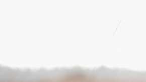 lavarte las manos después de mimar a tu mascota