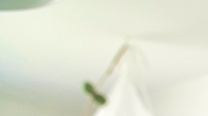 Consejos para que tu esposo le cambia el pañal al bebé